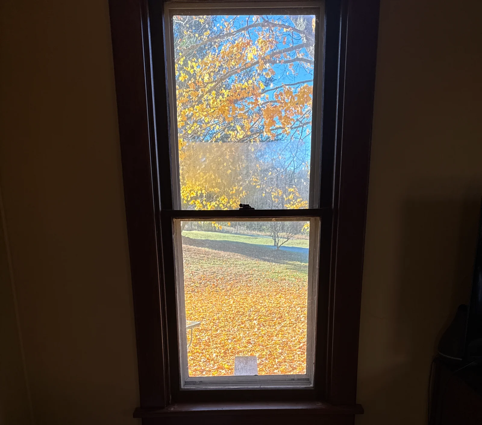 Inside looking outside to a nice fall day